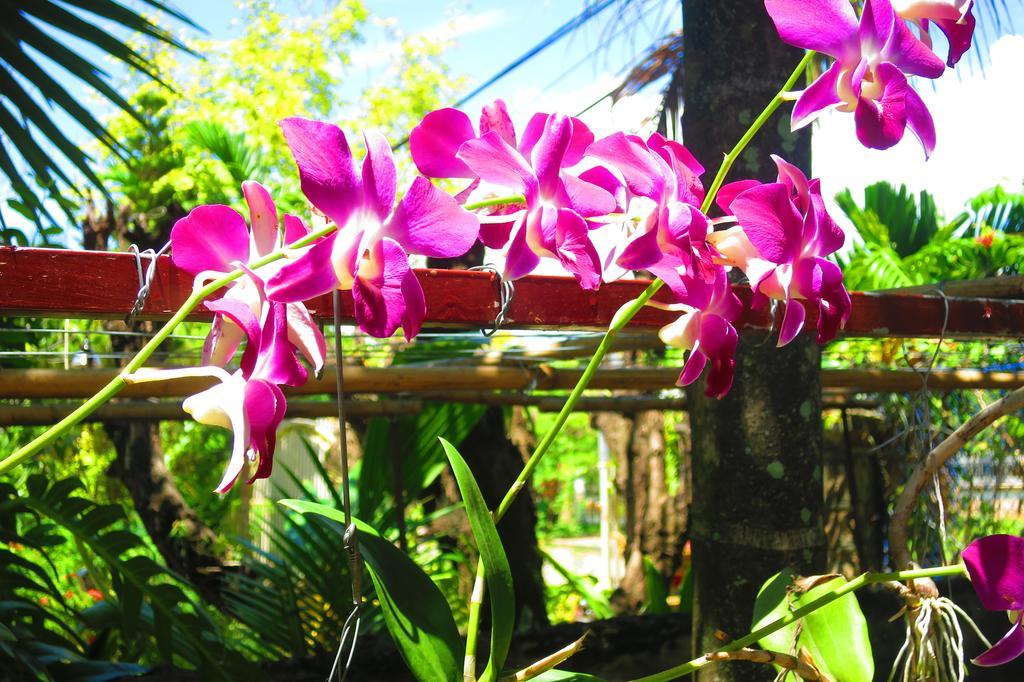 Kampot Guesthouse Luaran gambar